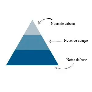 Descubre las irresistibles fragancias ROSSIO 14 Esquema 300x300 es
