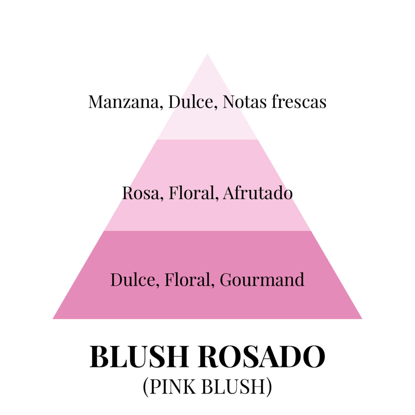 pirámides olfativas - blush rosado