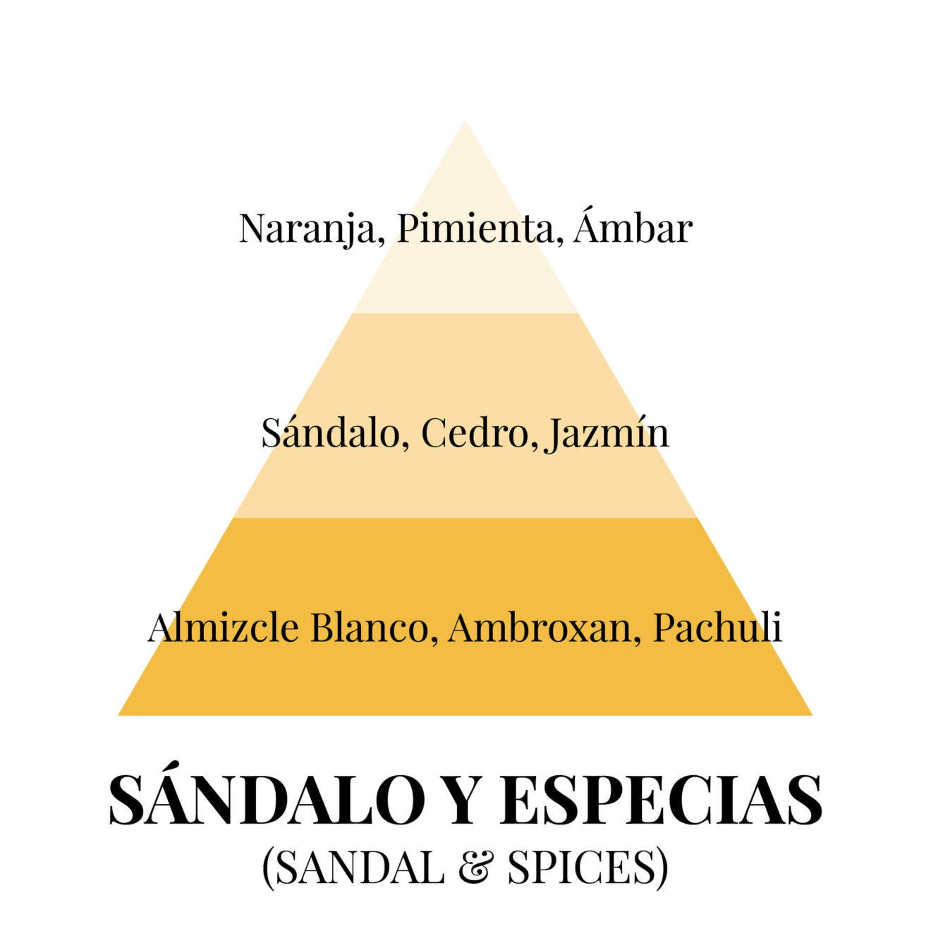 pirámides olfativas - sándalo y especias