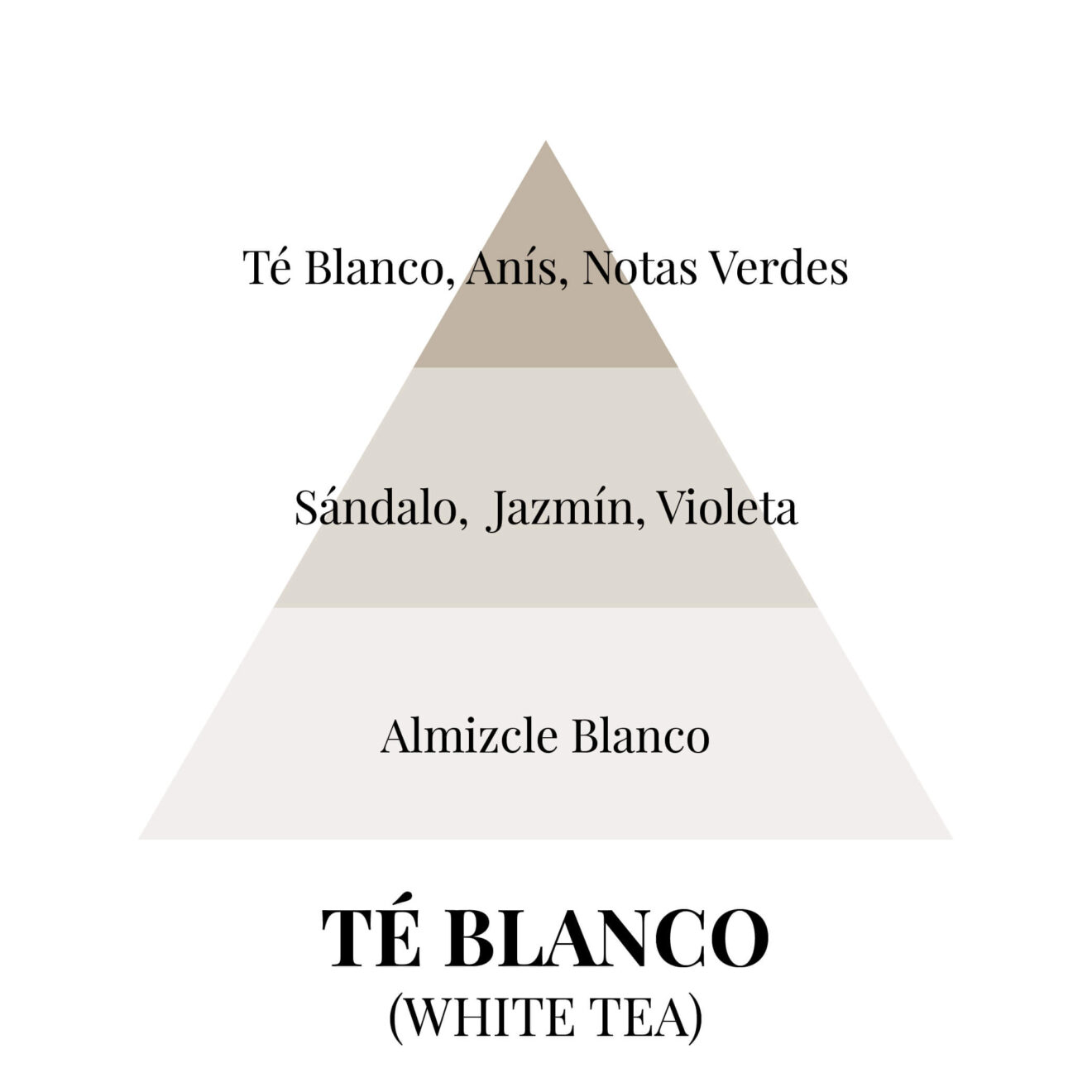 pirámides olfativas - té blanco