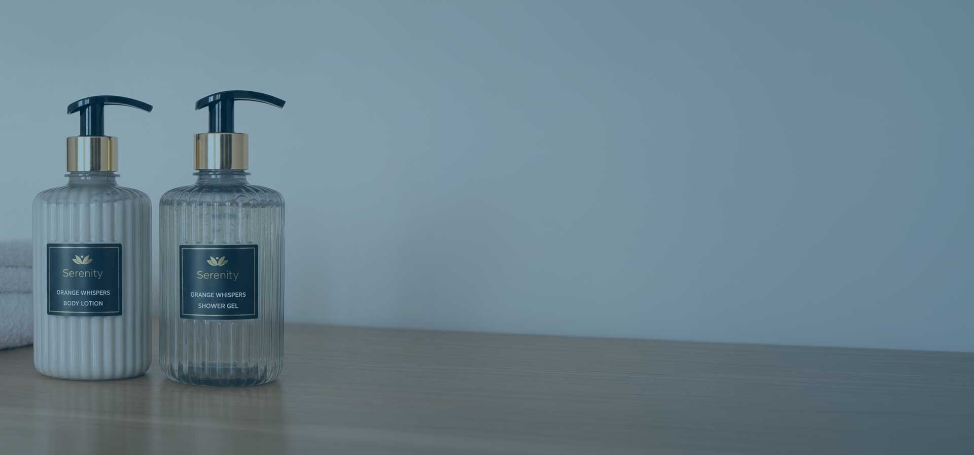 Banner principal 02